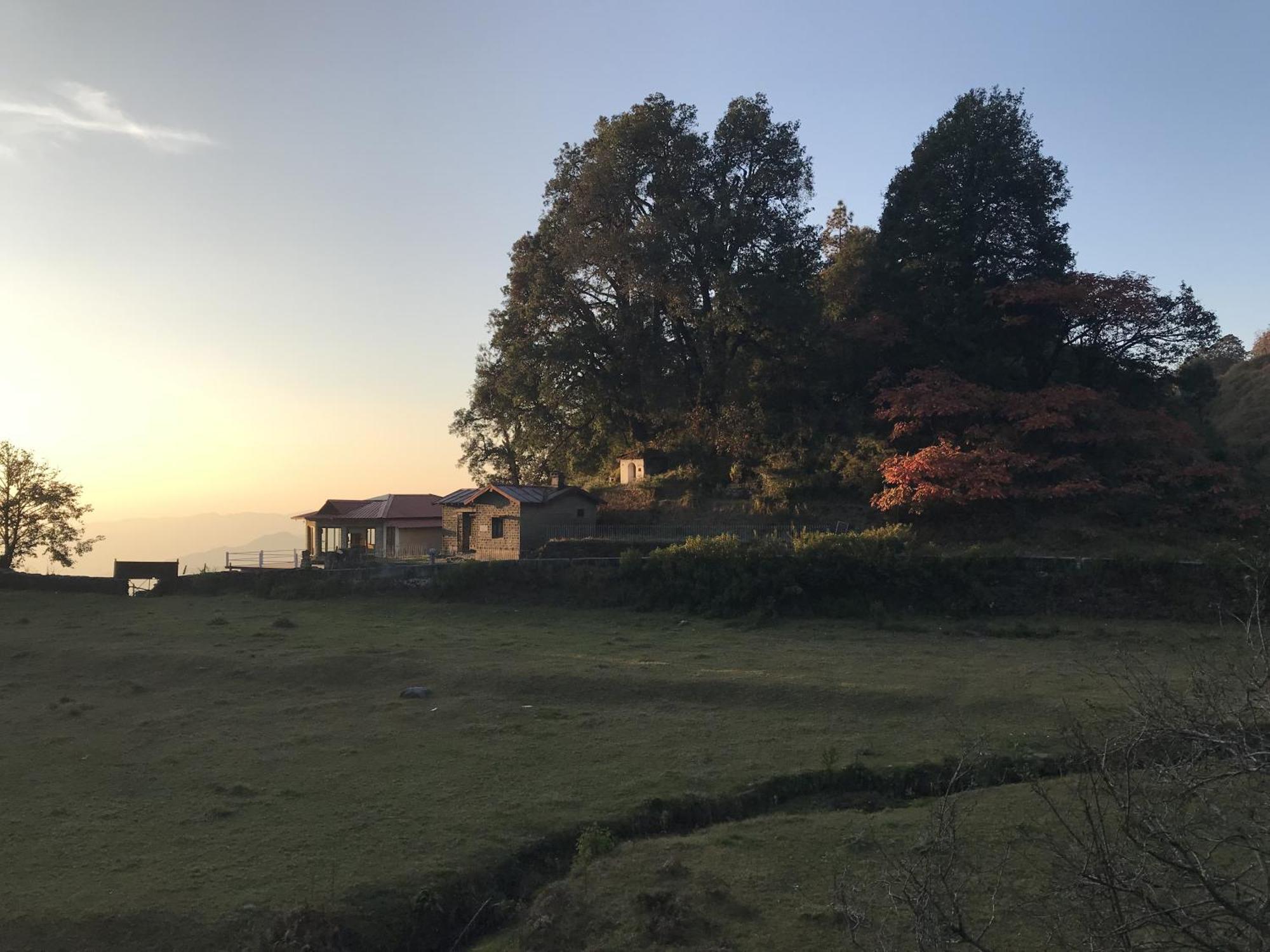 Simba Jungle Lodge, Binsar Wildlife Sanctuary Exteriér fotografie
