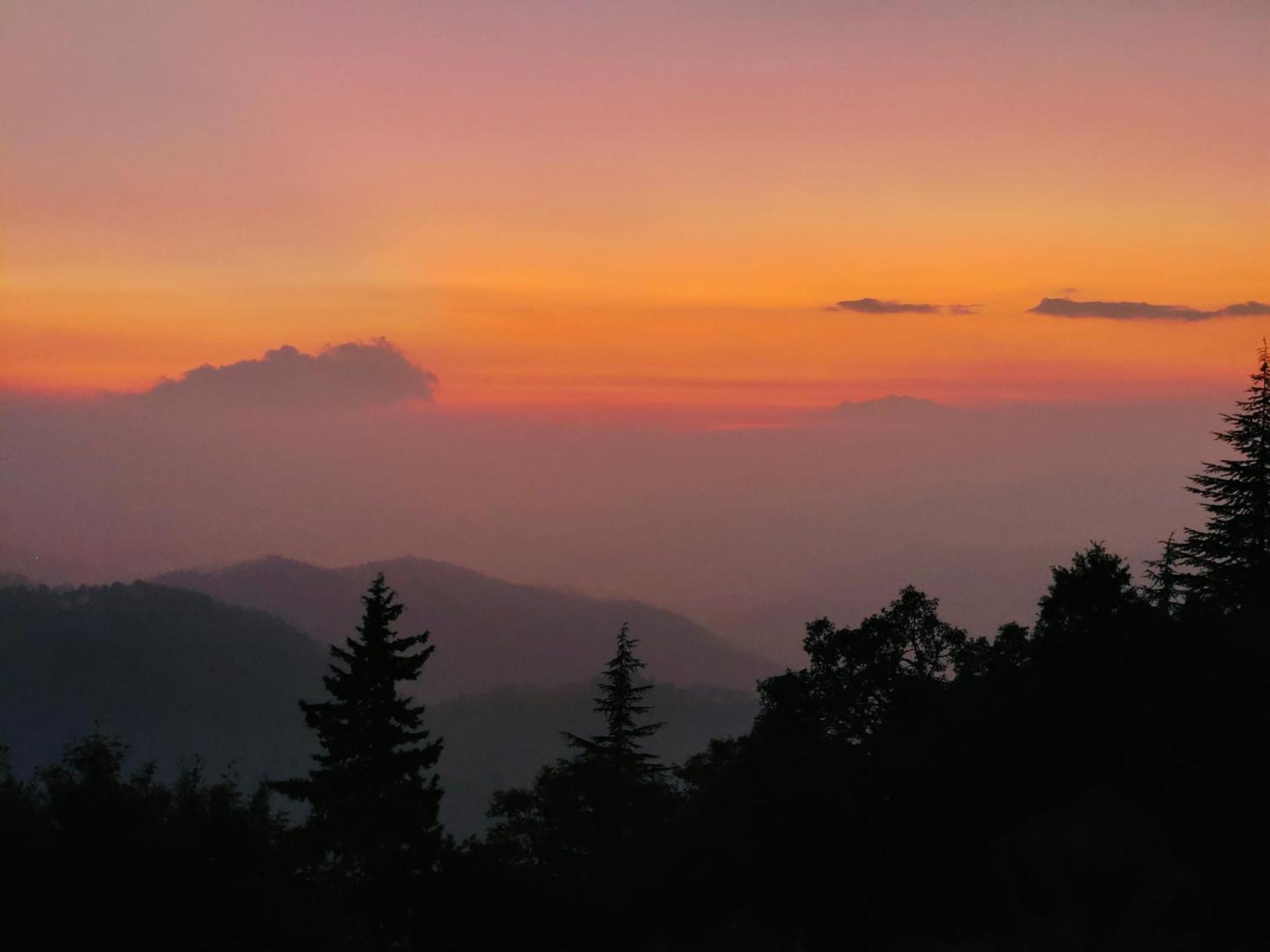 Simba Jungle Lodge, Binsar Wildlife Sanctuary Exteriér fotografie