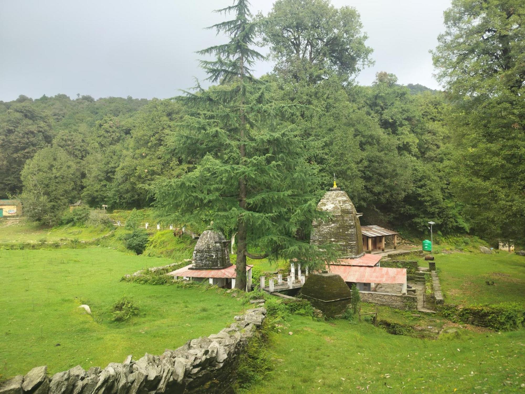 Simba Jungle Lodge, Binsar Wildlife Sanctuary Exteriér fotografie