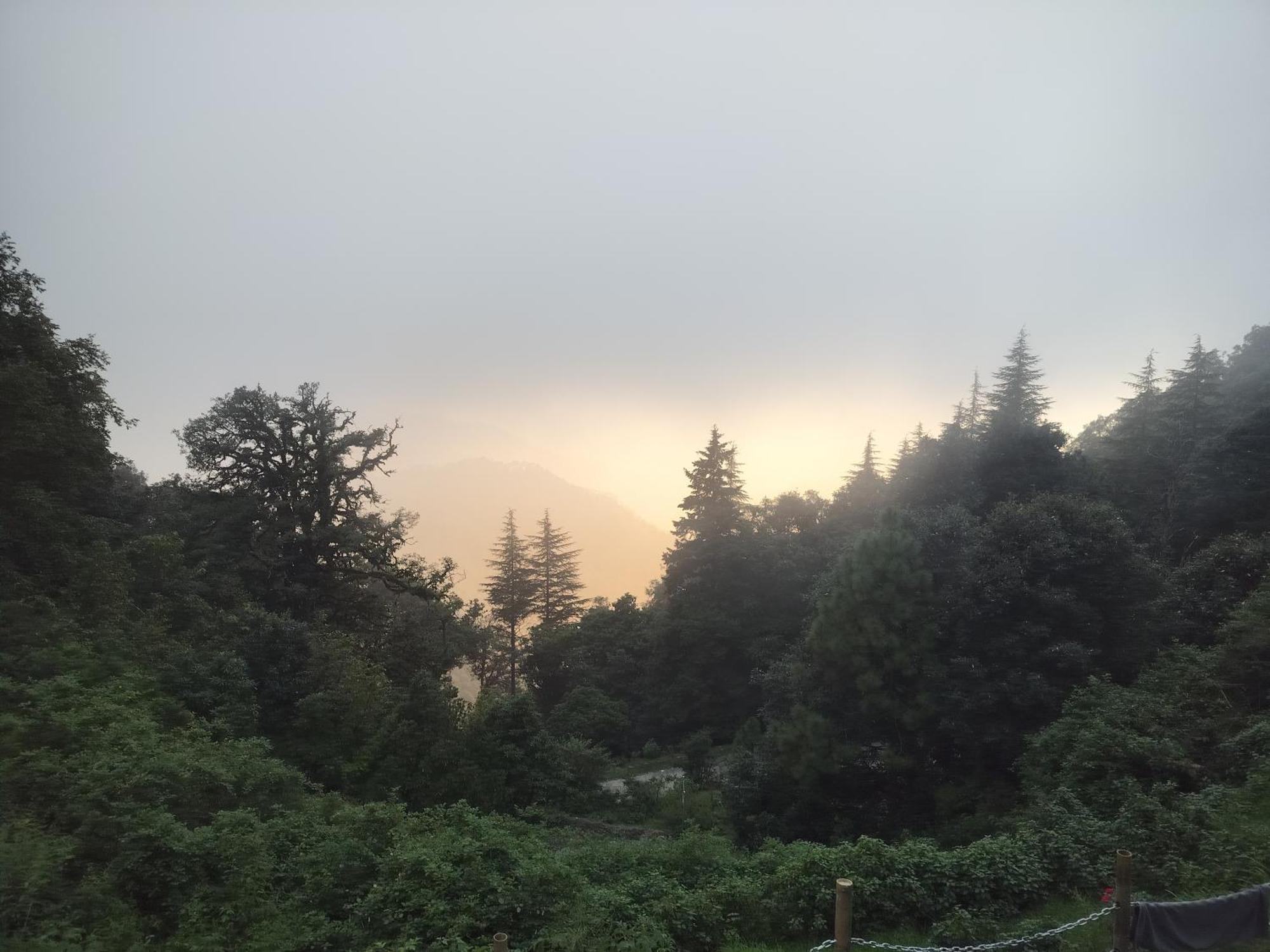 Simba Jungle Lodge, Binsar Wildlife Sanctuary Exteriér fotografie